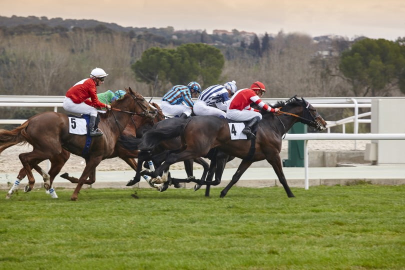 gokken op paarden